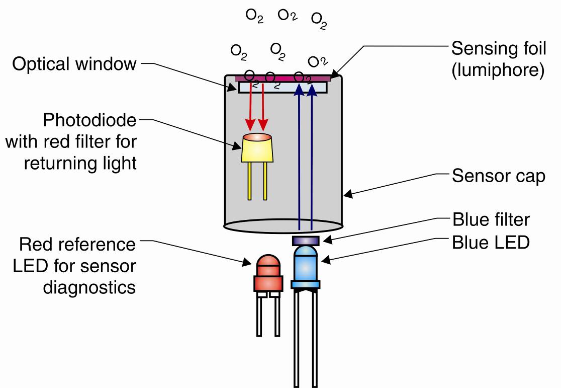 dissolved-oxygen-detectronic