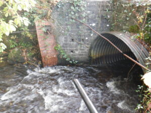 River Irfon Monitoring Programme for Freshwater Habitats