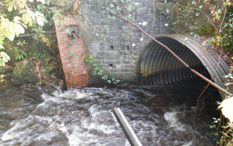 River Irfon Monitoring Programme for Freshwater Habitats
